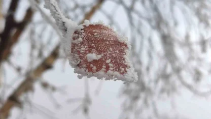 Hava sıcaklığının eksi 14,6 dereceye düştüğü Göle buz tuttu