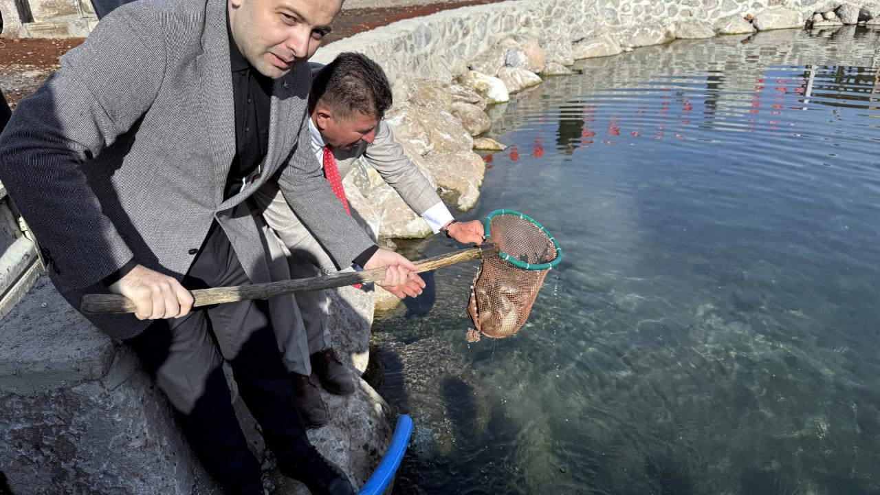 Havuza yüzlerce balık bırakıldı