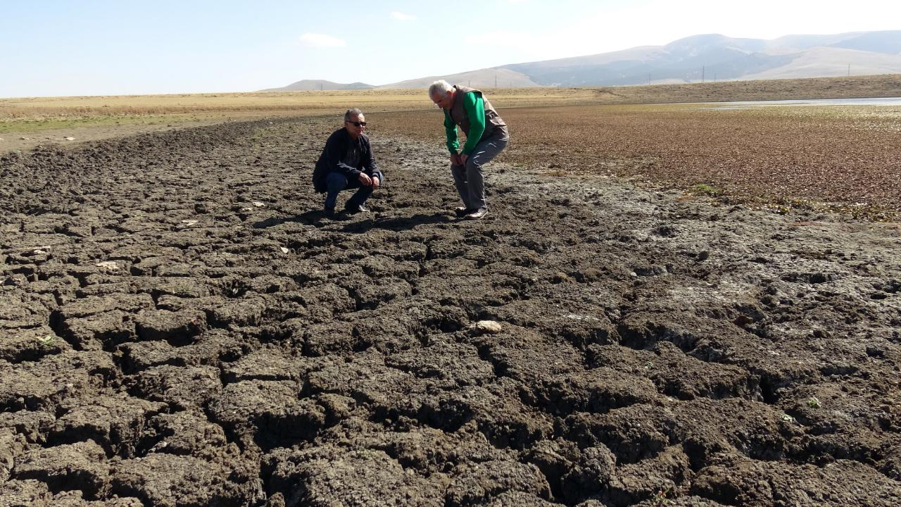 İklim değişikliği Sarıkamış Asboğa Gölü'nü küçülttü
