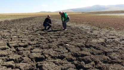 İklim değişikliği Sarıkamış Asboğa Gölü'nü küçülttü