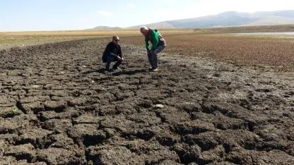 İklim değişikliği Sarıkamış Asboğa Gölü'nü küçülttü