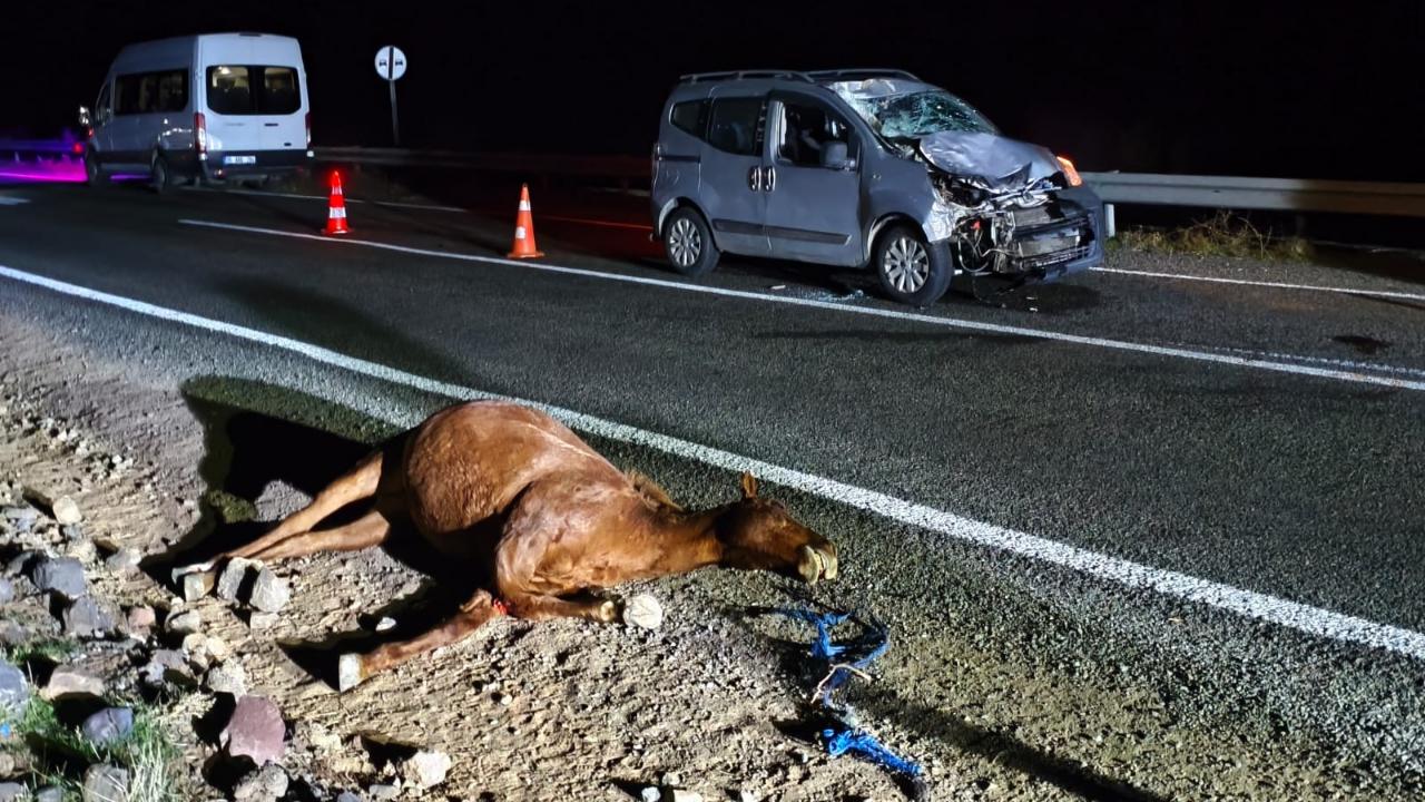 Kağızman&#039;da araç başıboş hayvanlara çarptı, 2 kişi yaralandı