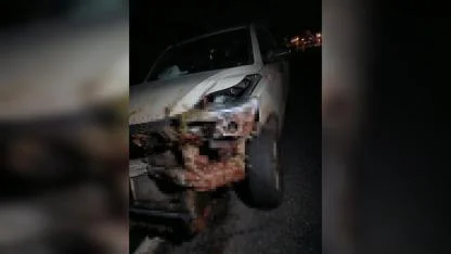 Kamyonet sürüye çarptı, 30 küçükbaş hayvan telef oldu