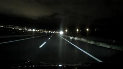 Kar yağışının etkili olduğu Kars'ta kurtlar şehre indi