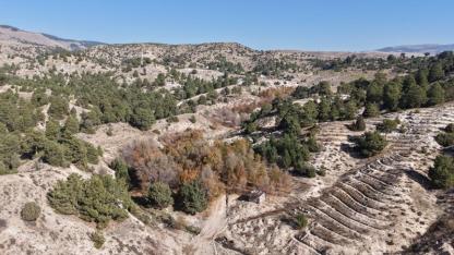 "Karakurt Bal Ormanı" 2026'da açılacak