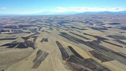 Kars Ovası tarlalarından halı desenini andıran görüntüler