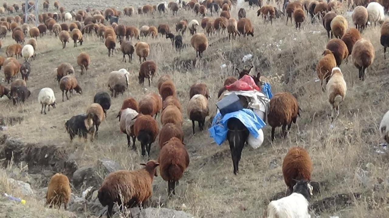 Kars’ta göçerlerin zorlu yolculuğu başladı