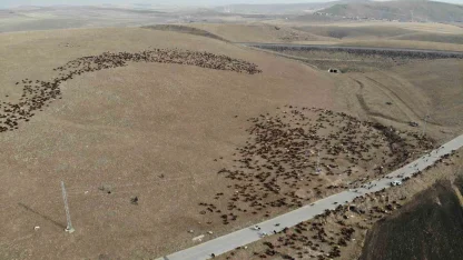 Kars’ta göçerlerin zorlu yolculuğu başladı