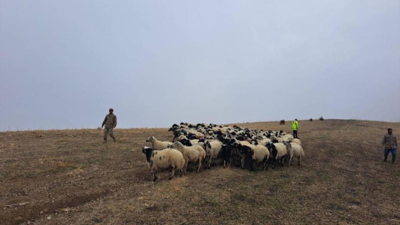 Kaybolan küçükbaş hayvanları bularak sahibine teslim edildi