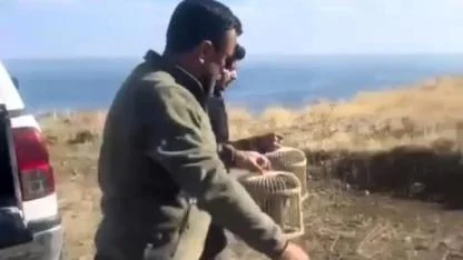 Keklikler özgürlüğe kanat çırptı