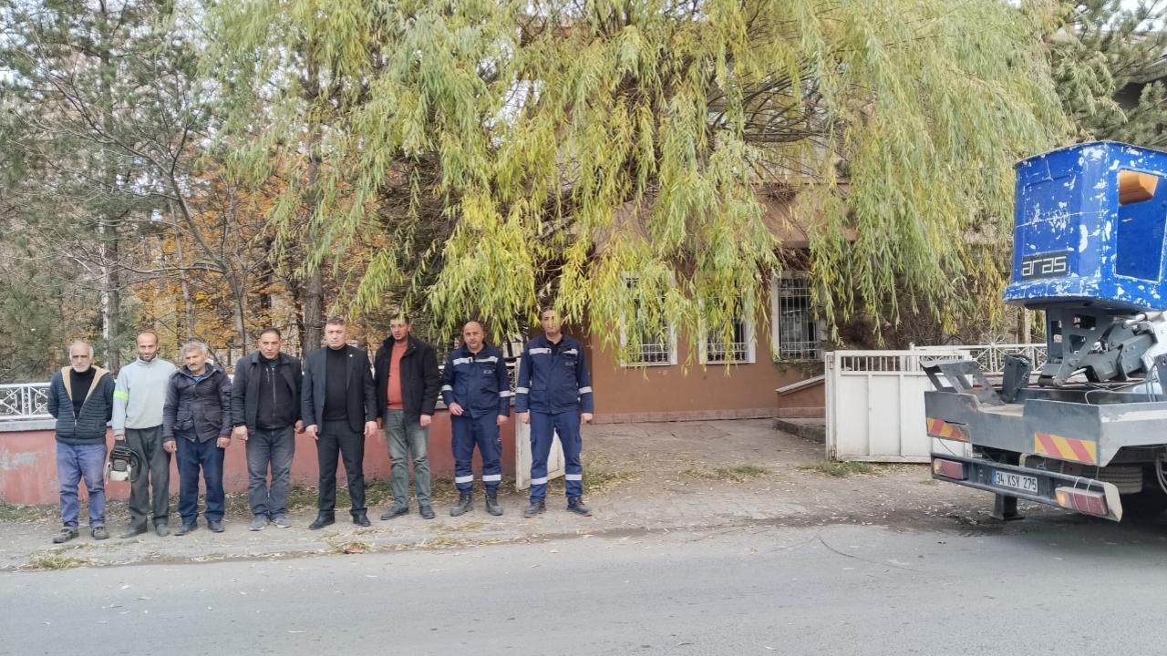 Muhtar Müçük, elektrik hatlarına tehlike yaratan ağaçlar için ekipleri seferber etti