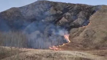 Oltu’da örtü yangını korkuttu