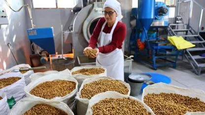 Özel ürettikleri leblebiyi Türkiye markasına dönüştürdüler