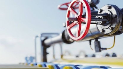 PALEN, kış ortasında dondurdu