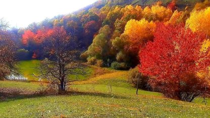 Posof’ta kartpostallık manzaralar