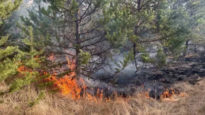 Sarıkamış'ta örtü yangını