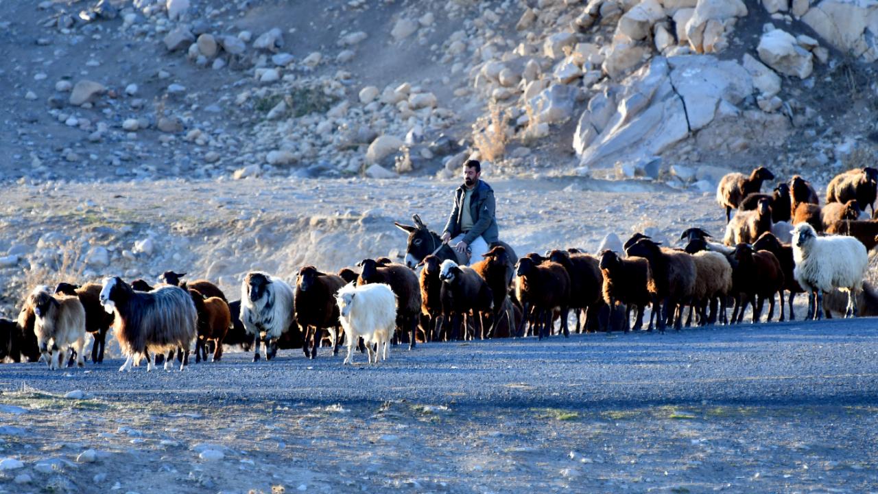 Sarıkamış yaylalarında dönüş yolculuğu