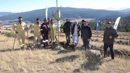 Sarıkamış’ta "81 İlde 81 Orman" projesi kapsamında fidanlar toprakla buluştu