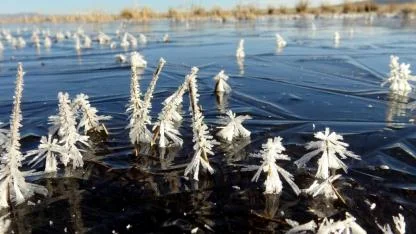 Sarıkamış'ta küçük göletler buz tuttu