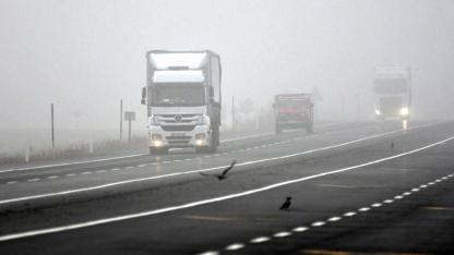 Sarıkamış'ta soğuk hava ve sis etkili oldu