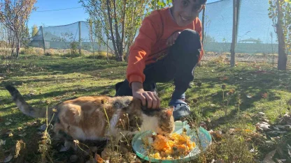 Sokak hayvanlarını elleriyle besliyor, onlara yuva oluyor