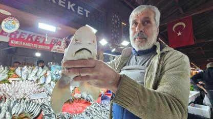 Tezgahta sergilenen köpek balığı ilgi odağı oldu