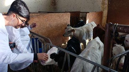 Üniversite öğrencileri Van’da sertifikalı sığır yetiştiriciliği eğitimine katıldı