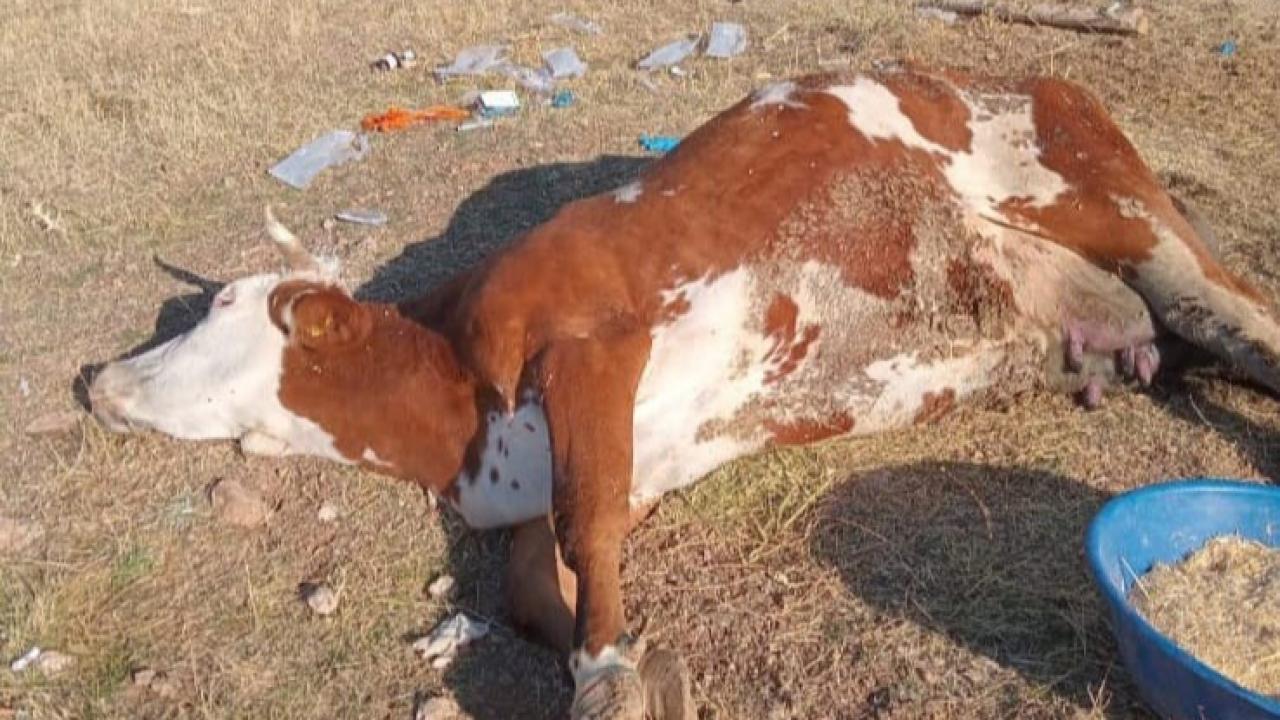 Üreticiler zor günler geçiriyor