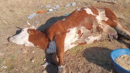 Üreticiler zor günler geçiriyor