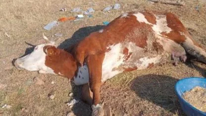 Üreticiler zor günler geçiriyor