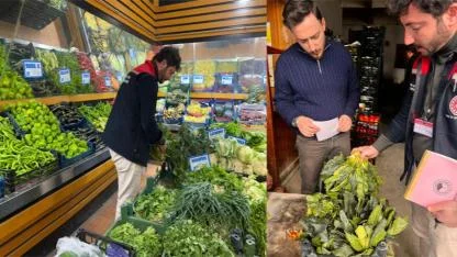 Uzmanlar uyardı: Bazı yabani bitkiler zehirli olabilir!