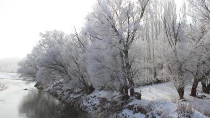 Kırağı tutan ağaçlar güzel manzaralar oluşturdu