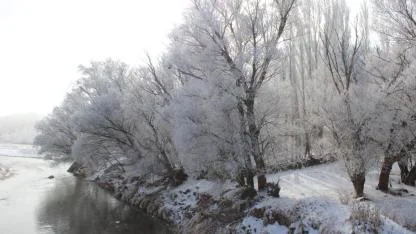 Kırağı tutan ağaçlar güzel manzaralar oluşturdu
