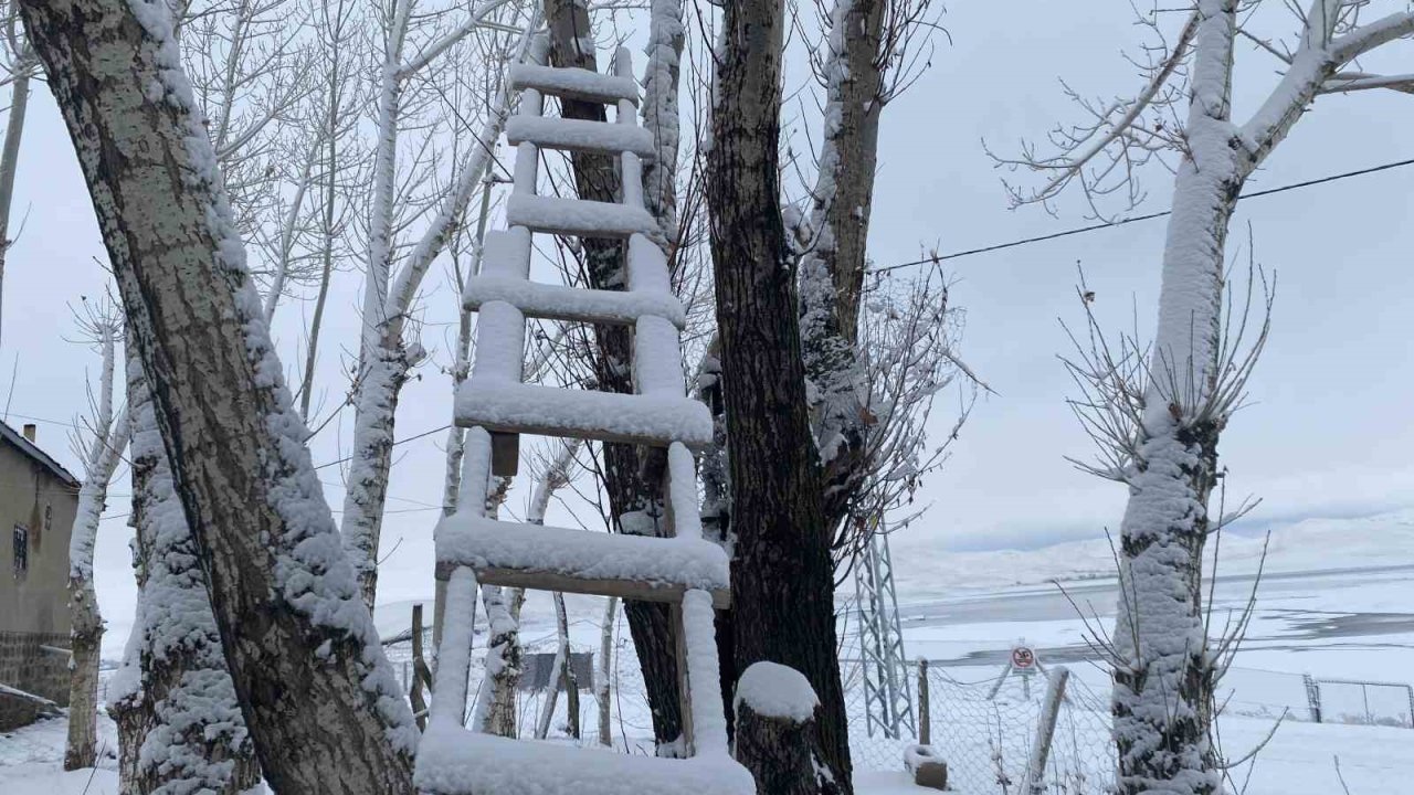 Ağrı beyaza büründü