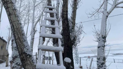 Ağrı beyaza büründü