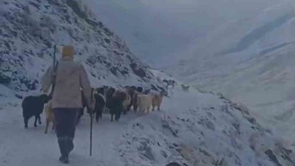 Ağrı’da kar ve tipi hayatı olumsuz etkiledi