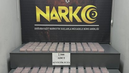 Tırda 2 bin 500 adet sentetik ecza maddesi ele geçirilirdi