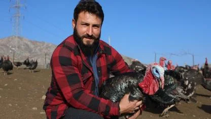 Almanya'dan döndü, memleketinde hindi çiftliği kurdu