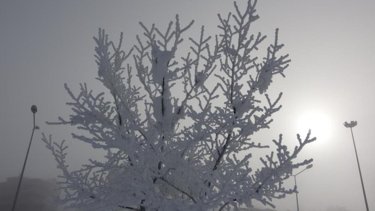 Ardahan’da dondurucu soğuklar etkisini artırdı: Ağaçlar kırağı tuttu