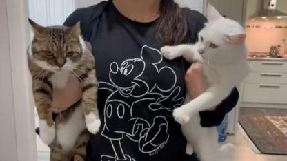 "Aşıları yapılan evcil hayvanlar sağlığa zarar vermiyor"