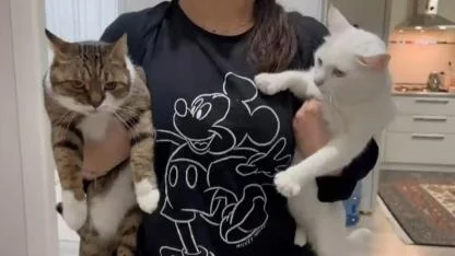 "Aşıları yapılan evcil hayvanlar sağlığa zarar vermiyor"