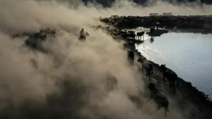 Atlı çobanlar, yılkı atlarıyla sürüleri kontrol ediyor