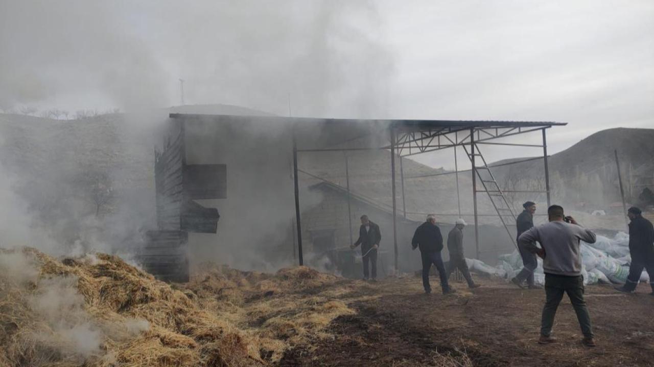 Besi çiftliğinde çıkan yangın söndürüldü
