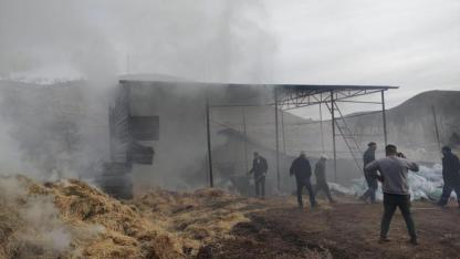 Besi çiftliğinde çıkan yangın söndürüldü