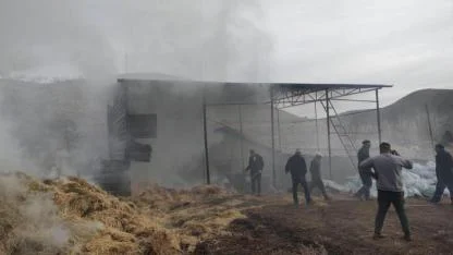 Besi çiftliğinde çıkan yangın söndürüldü