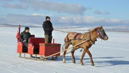 Çıldır Gölü’nde atlı kızak sezonu açıldı
