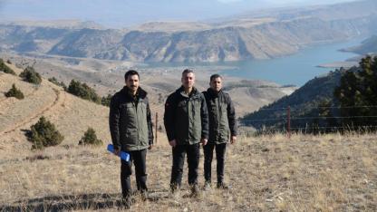 Doğu'da orman alanları arttırılıyor