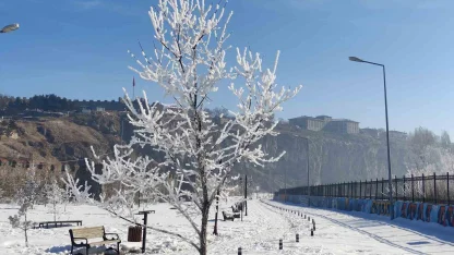 Göle eksi 16 dereceyi gördü, ağaçlar kırağı tuttu