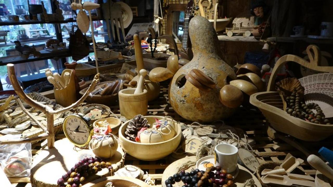 Hayatını kurumuş ağaçlara adayıp keyif alıyor