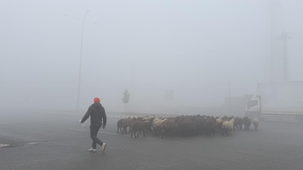 Iğdır siste kayboldu